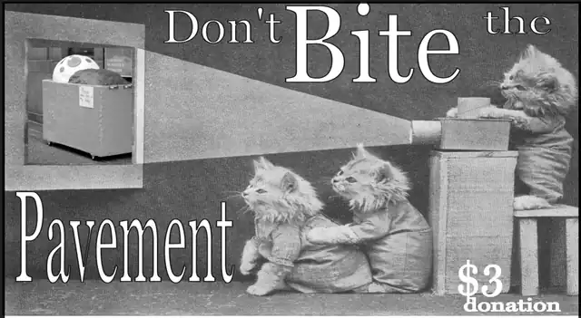 Black-and-white Don’t Bite the Pavement promotional graphic, with kittens beside a film projector and a telephone.